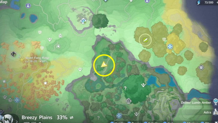 Whack-a-Hummin Map