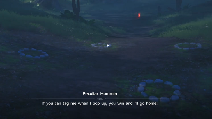 Whack-a-Hummin
