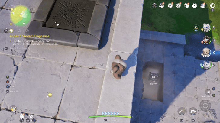 Rosetower Woods Chest 30