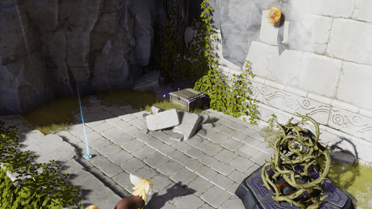 Blitzwood Chest 9