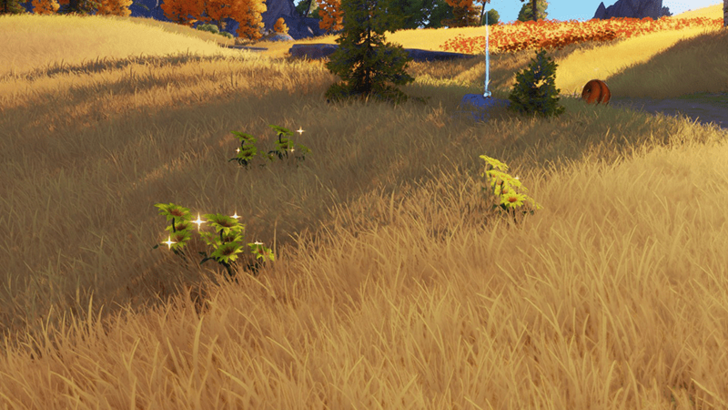 Blitzwood Chest 19