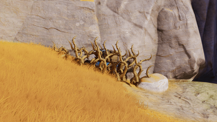 Blitzwood Chest 24