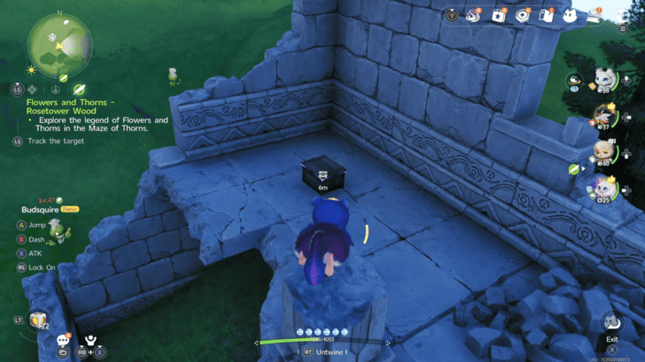 Rosetower Woods Chest 37