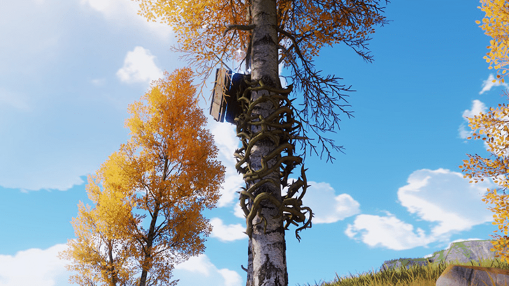 Blitzwood Chest 35
