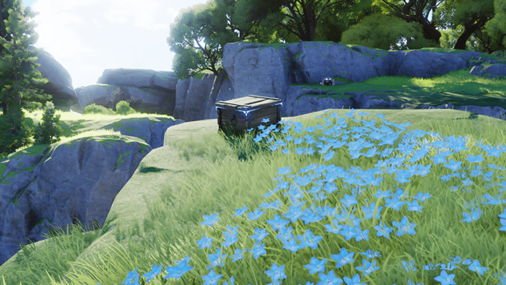 Driftwise Meadow Chest 1