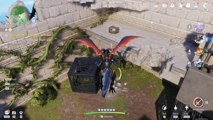 Rosetower Woods Chest 62