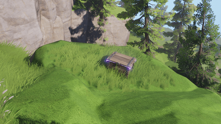 Driftwise Meadow Chest 41