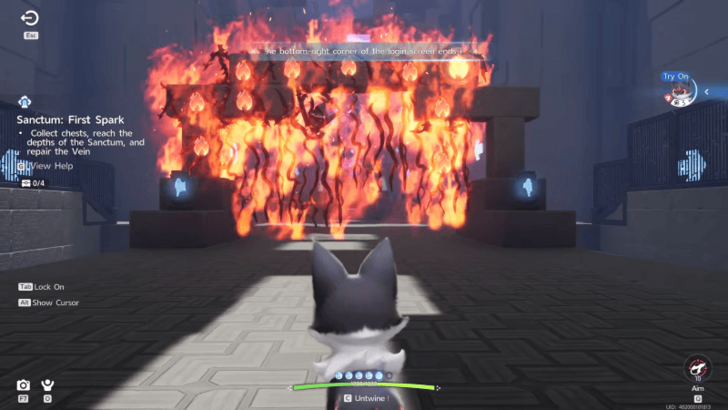 Burn