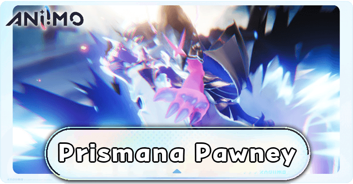 Aniimo - Prismana Pawney Top Banner