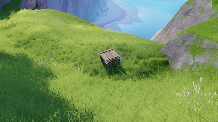Berylline Vale Chest 41
