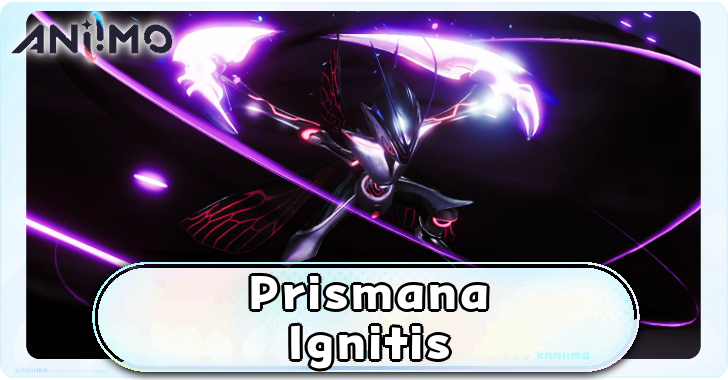 Aniimo - Prismana Ignitis Build Top Banner