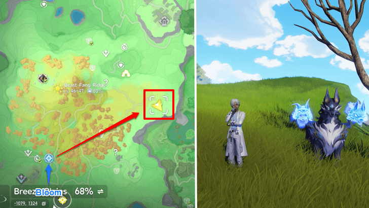 Nightwolf Location