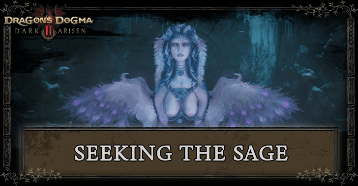 Seeking the Sage