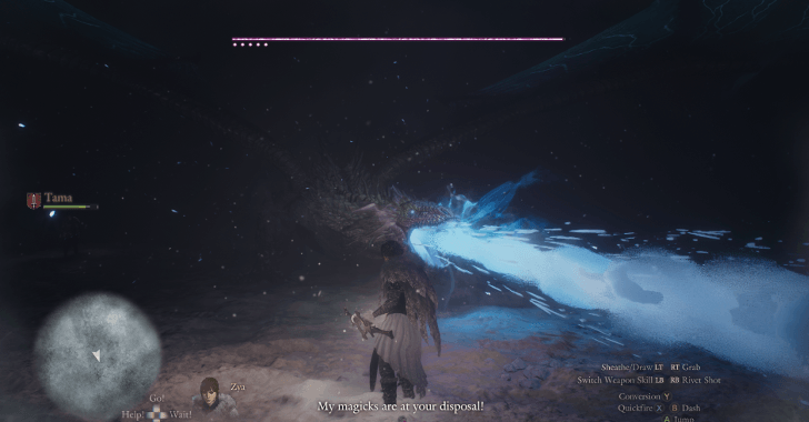 Fight the Dragon