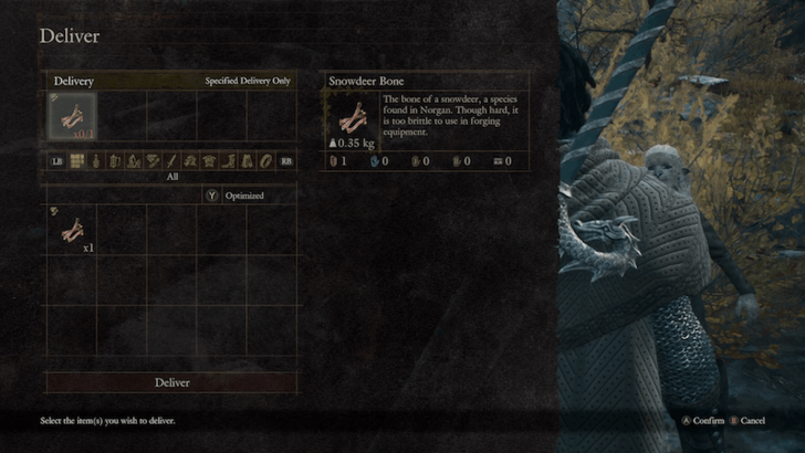 Deliver Snowdeer Bone to Ilsa