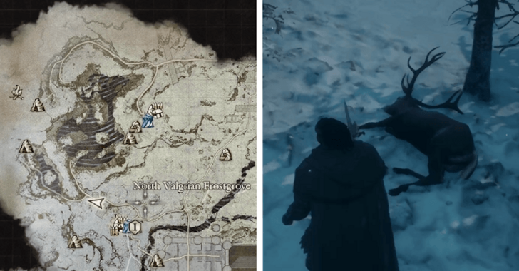 Where to Find Snowdeers