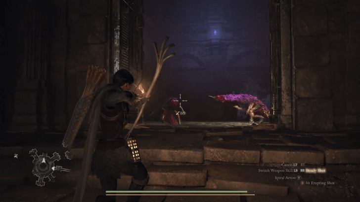 Wyrmsblood Arena Toxiscale Room