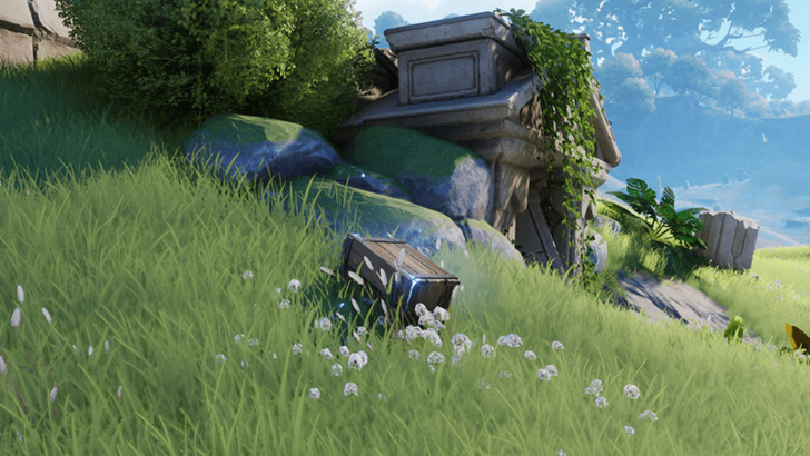 Nimbus Fields Chest 25