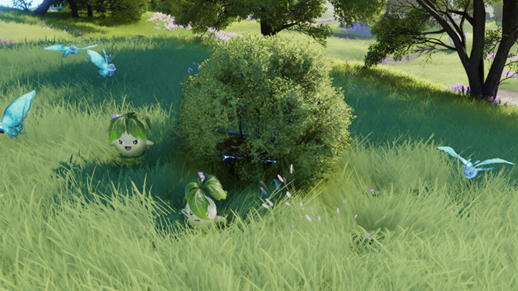 Nimbus Fields Chest 44