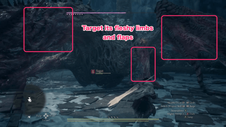 Fallen Dragon Weakpoints