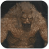 Snowfoot