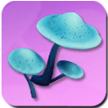 Lunashroom Icon