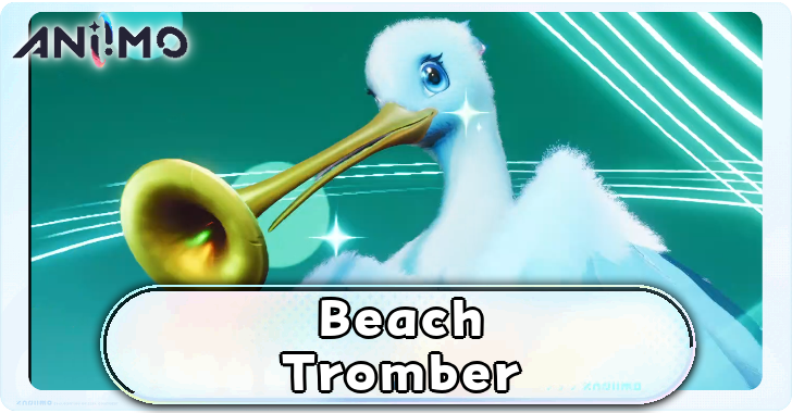Aniimo - Beach Tromber Build Top Banner