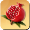 Star-striped Pomegranate Icon