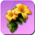 Morning Mist Icon