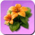 Sunset Storm Icon