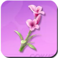 Nepenthe Lily Icon