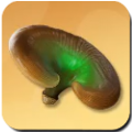 Jade Lingzhi Icon