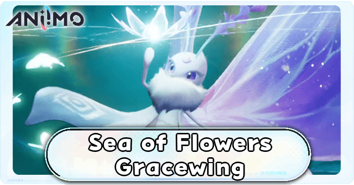 Aniimo - Sea of Flowers Gracewing Build Top Banner