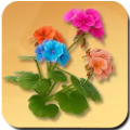Skycloud Mallow Icon