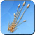 Candleweed Icon