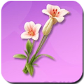 Ice Lily Icon
