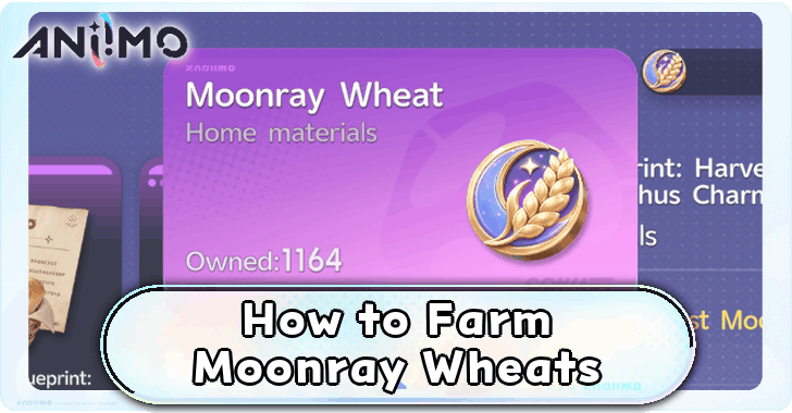How to Farm Moonray Wheats
