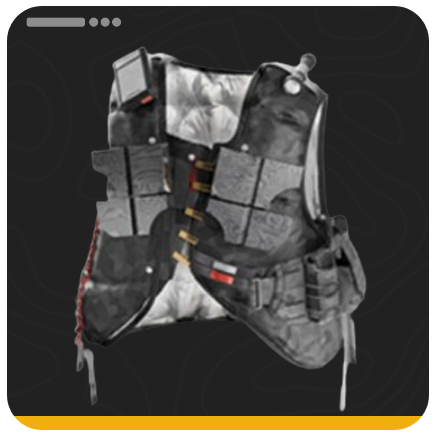 Type 50 Yinglung Soft Armor