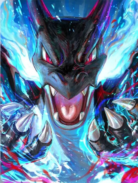 Mega Charizard X Cover Binder Cover