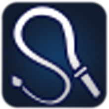 Whip Icon