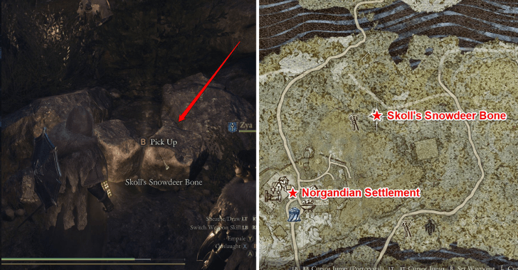 Bone Location