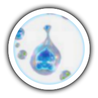 Water Droplet Aniimo Evolution