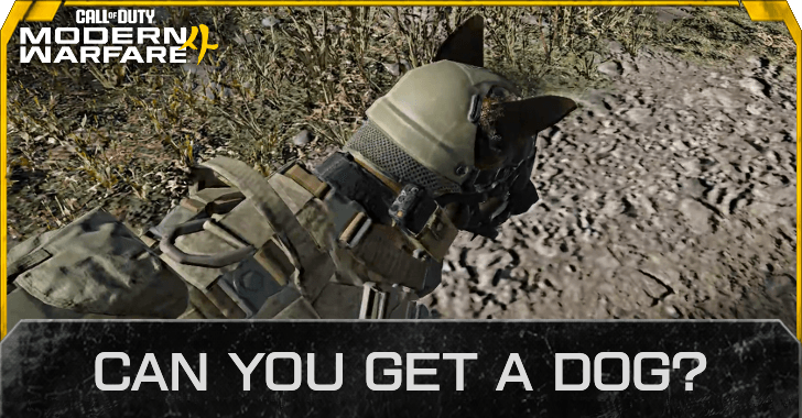 Can You Get a Dog in DMZ? | Call of Duty Modern Warfare 4 (MW4)｜Game8