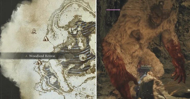 Loot Spoils in Woodland Retreat